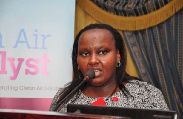 Nairobi City County’s Chief Executive in charge of the Environment, Water, Food and Agriculture Maureen Njeri.