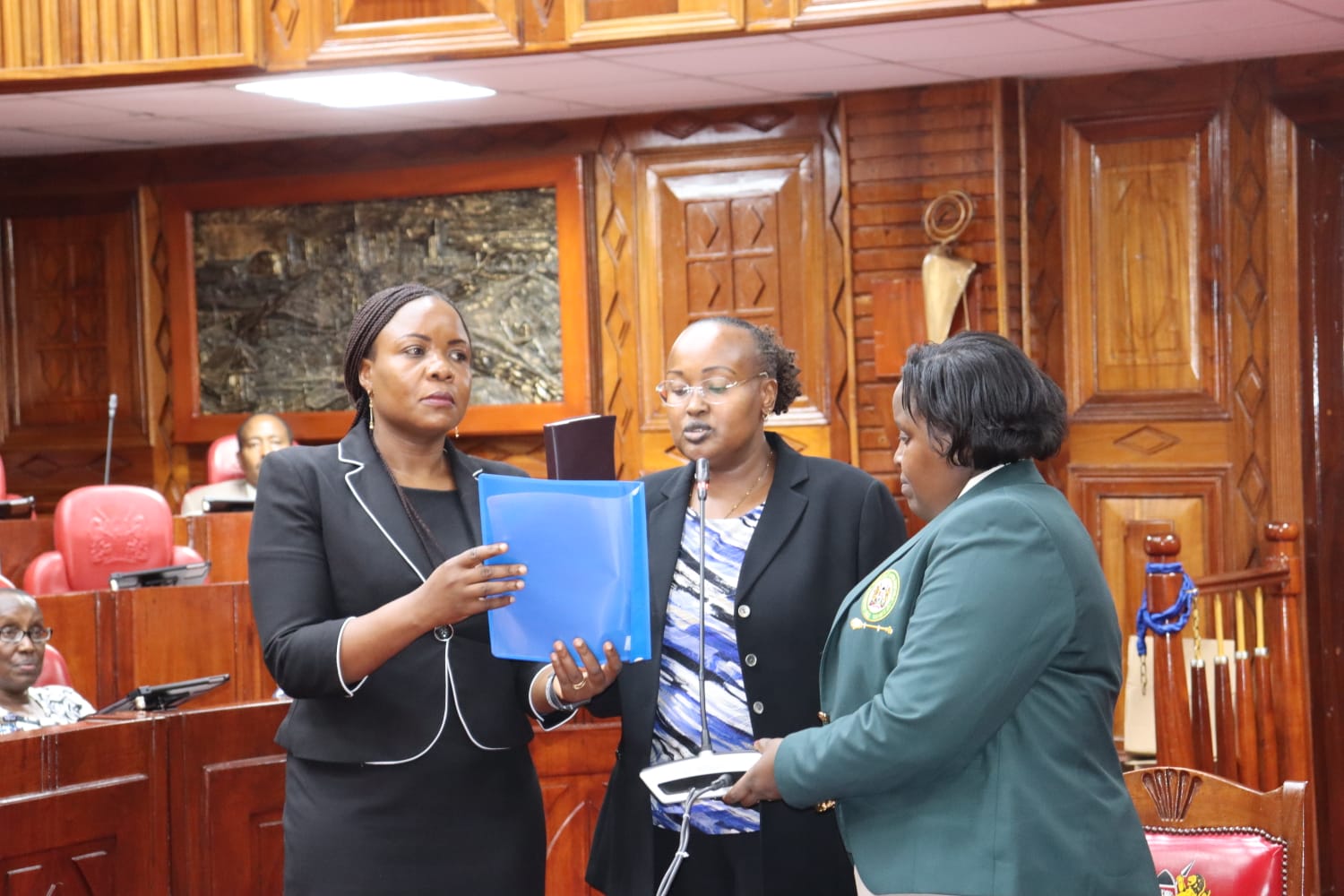 Ambassadorial Nominee to Madrid Spain Ms. Nairimas Sharon Ole Sein appears before the defence and foreign affairs committee for approval hearings.