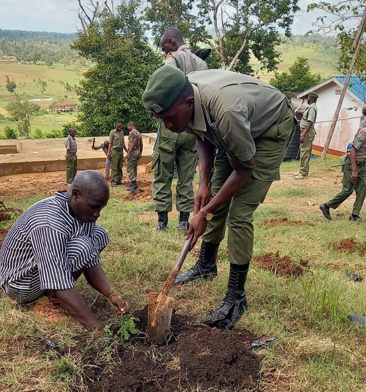 Kaloleni GK Prison inmates rally towards the clarion call of greening the country