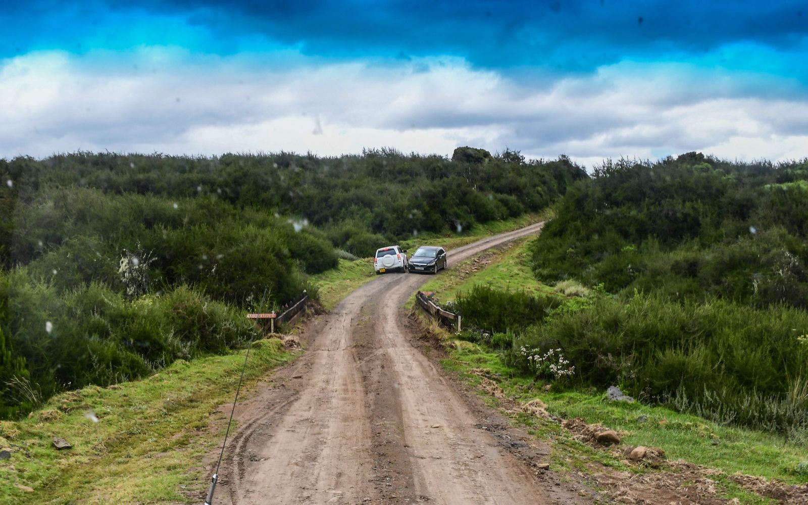 Tourists use the park road to explore nature's wonders at Aberdare National park. The park road has been mapped as part of the proposed  Mau Mau road.